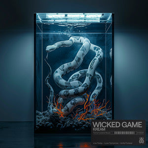 MELODIC TECHNO FL STUDIO REMAKE | KREAM - Wicked Game - ABLETON REMAKES